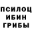 Галлюциногенные грибы Psilocybine cubensis Madarenko