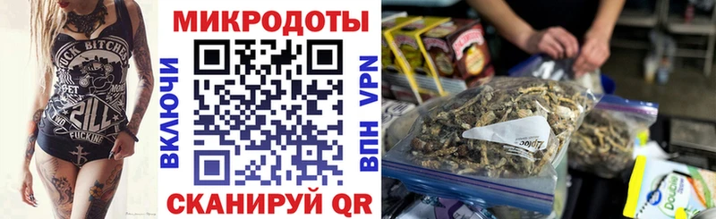 Псилоцибиновые грибы Psilocybine cubensis Костерёво